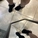 lollipoptoes2025
