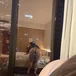 reboundgirl22