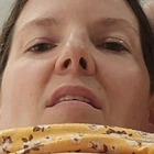kittenskastle profile picture