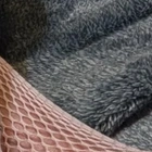 Aster Primm profile picture