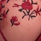 Anna Roose profile picture