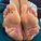 u499723440
