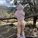 notlucy0