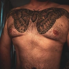 Sebastian & Felicity profile picture