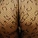 ladyhoney0