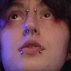 mscellanea profile picture