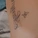 gracie_xox