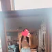Sassyshorty