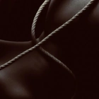 Priestess Zahra Fayd profile picture