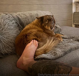 want to lick my feet here?