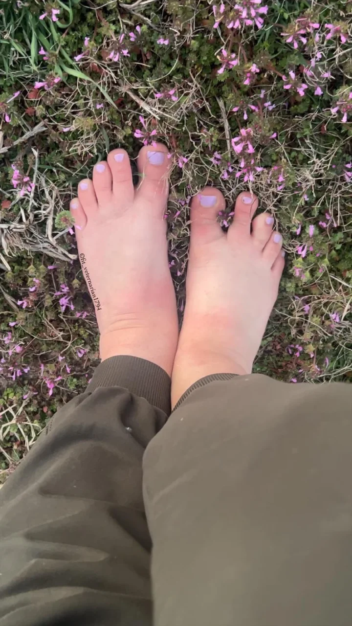 These toes needs some sucking