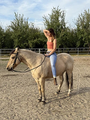 Bareback is best