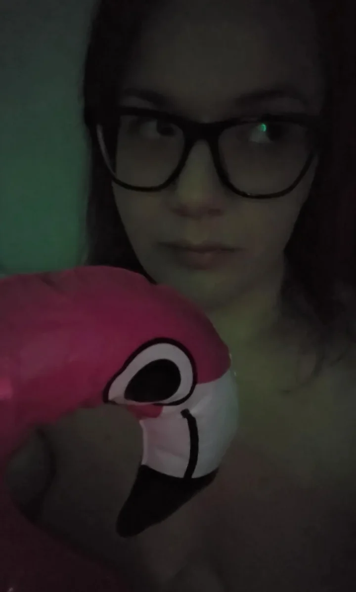 The flamingo in the tub wouldn't stfu