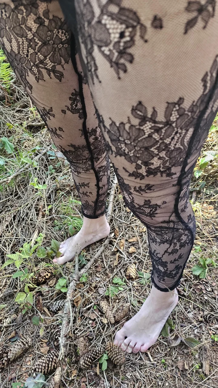 stockings